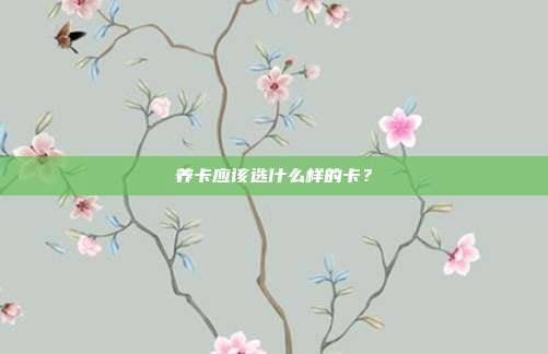 养卡应该选什么样的卡?
