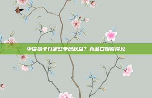 中信易卡有哪些专属权益?真金白银看得见