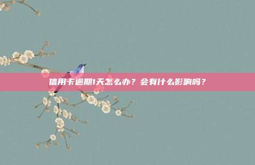 信用卡逾期1天怎么办?会有什么影响吗?