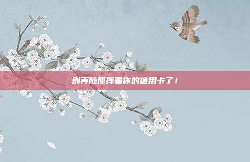 别再随便挥霍你的信用卡了!