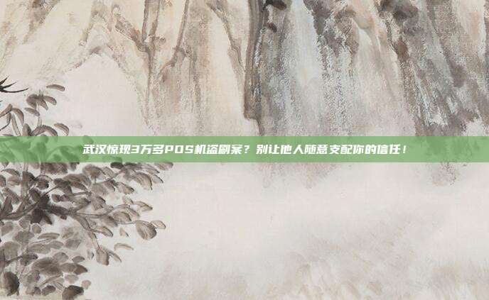 武汉惊现3万多POS机盗刷案？别让他人随意支配你的信任！