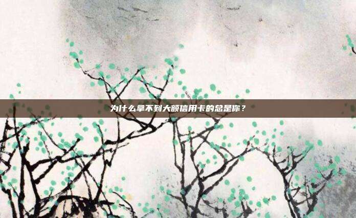 为什么拿不到大额信用卡的总是你?
