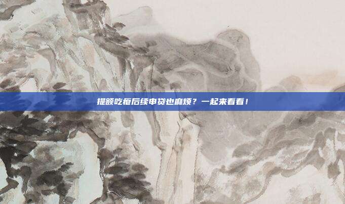 提额吃瘪后续申贷也麻烦？一起来看看！