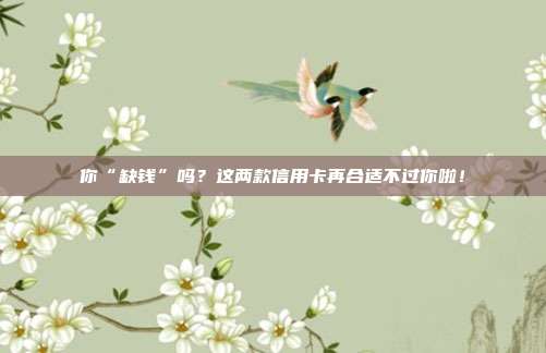 你“缺钱”吗?这两款信用卡再合适不过你啦!