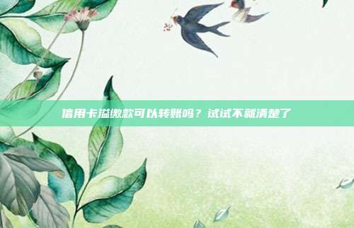信用卡溢缴款可以转账吗?试试不就清楚了