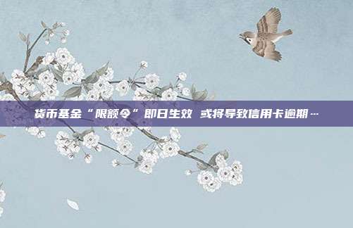 货币基金“限额令”即日生效 或将导致信用卡逾期…