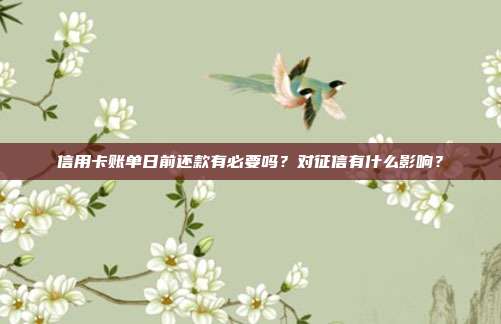 信用卡账单日前还款有必要吗?对征信有什么影响?