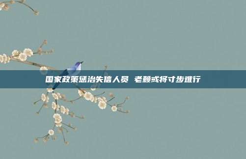 国家政策惩治失信人员 老赖或将寸步难行
