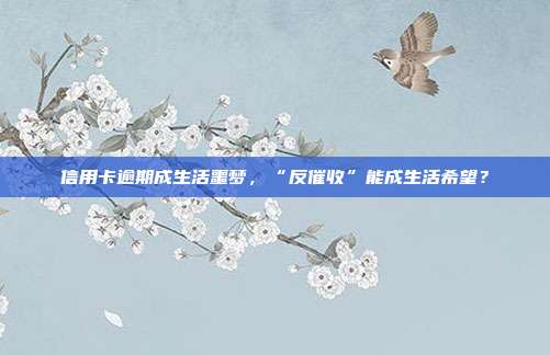 信用卡逾期成生活噩梦,“反催收”能成生活希望?