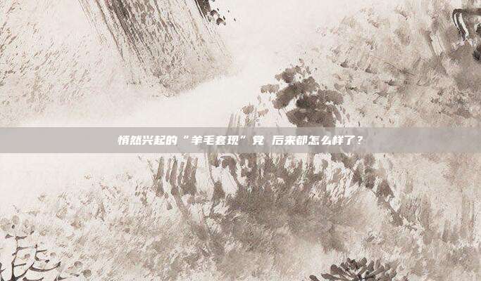 悄然兴起的“羊毛套现”党 后来都怎么样了？