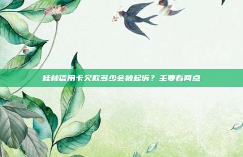 桂林信用卡欠款多少会被起诉?主要看两点