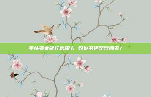 手持多家银行信用卡 好处多还是弊端多?