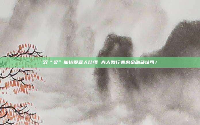 双“奖”加持得喜人佳绩 光大践行普惠金融获认可！