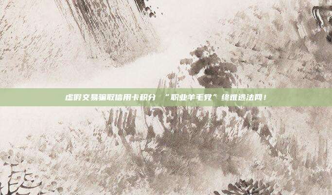 虚假交易骗取信用卡积分 “职业羊毛党”终难逃法网!