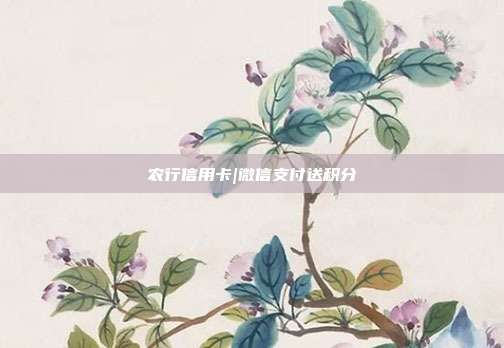 农行信用卡|微信支付送积分