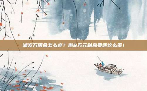 浦发万用金怎么样?借8万元利息要还这么多!