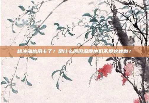 想注销信用卡了？是什么原因逼得他们不得这样做？