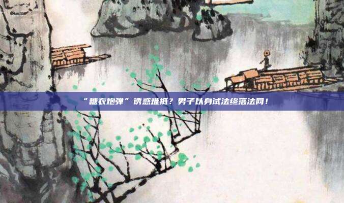 “糖衣炮弹”诱惑难抵?男子以身试法终落法网!