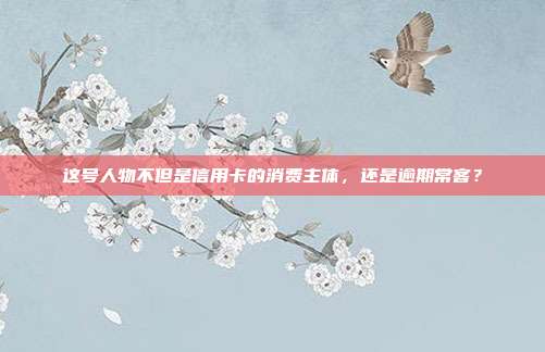 这号人物不但是信用卡的消费主体,还是逾期常客?