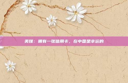 美媒:拥有一张信用卡,在中国是幸运的