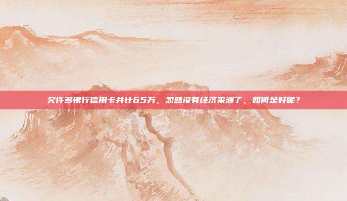 欠许多银行信用卡共计65万，忽然没有经济来源了，如何是好呢？
