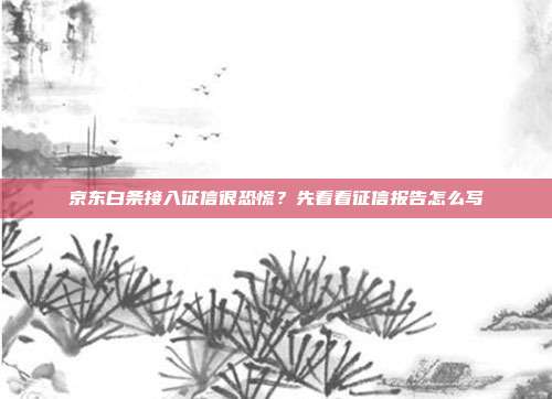 京东白条接入征信很恐慌?先看看征信报告怎么写