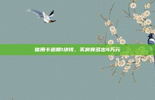 信用卡逾期1块钱,买房竟多出4万元