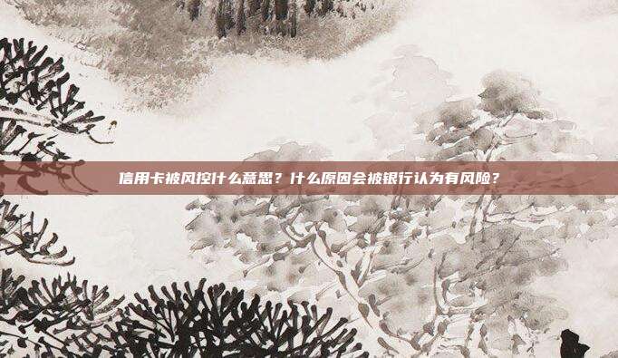 信用卡被风控什么意思?什么原因会被银行认为有风险?