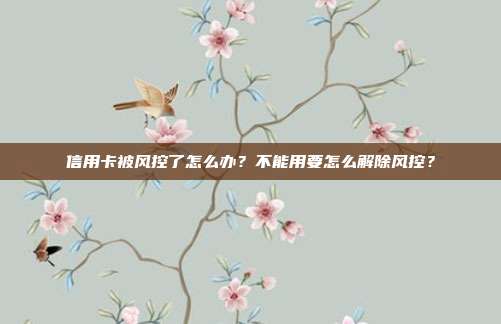 信用卡被风控了怎么办?不能用要怎么解除风控?