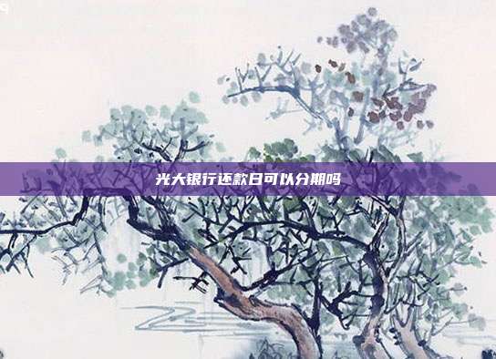 光大银行还款日可以分期吗