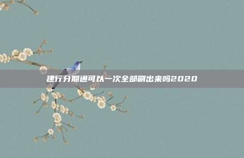 建行分期通可以一次全部刷出来吗2020