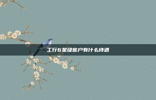 工行6星级客户有什么待遇