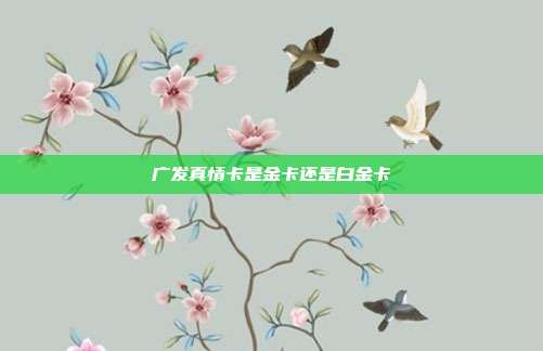 广发真情卡是金卡还是白金卡