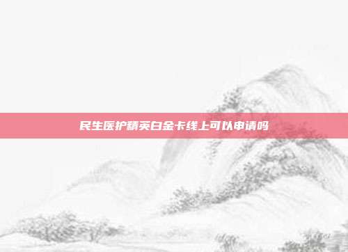 民生医护精英白金卡线上可以申请吗
