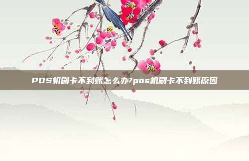 POS机刷卡不到账怎么办?pos机刷卡不到账原因