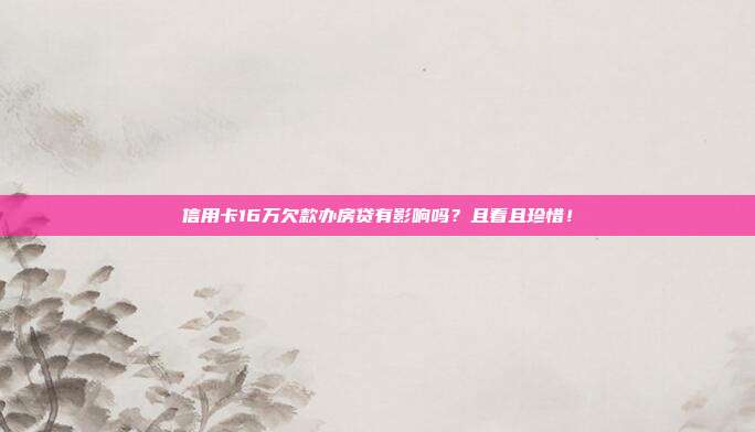 信用卡16万欠款办房贷有影响吗?且看且珍惜!