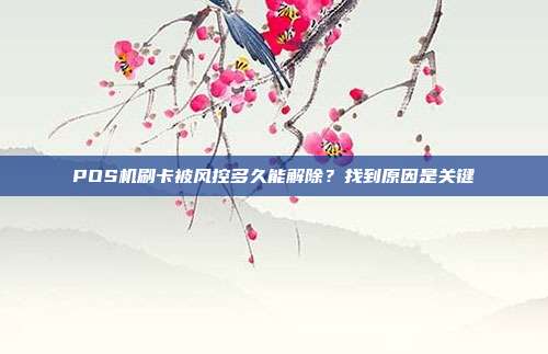 POS机刷卡被风控多久能解除?找到原因是关键