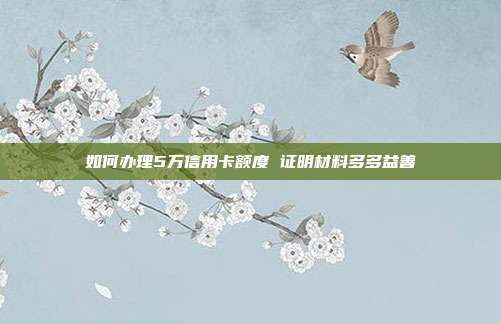 如何办理5万信用卡额度 证明材料多多益善