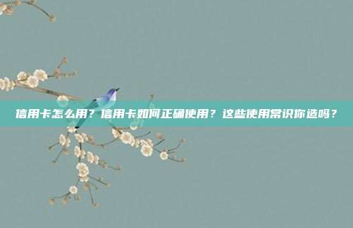 信用卡怎么用?信用卡如何正确使用?这些使用常识你造吗?