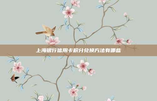 上海银行信用卡积分兑换方法有哪些