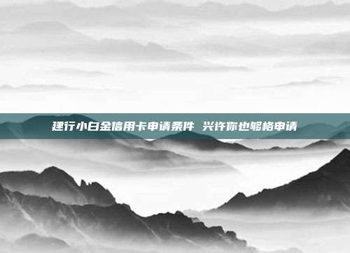 建行小白金信用卡申请条件 兴许你也够格申请