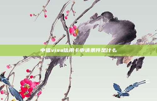 中信visa信用卡申请条件是什么