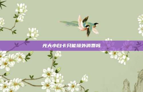 光大小白卡只能境外消费吗