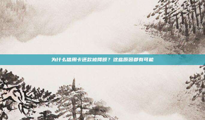 为什么信用卡还款被降额?这些原因都有可能