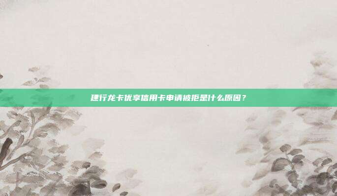 建行龙卡优享信用卡申请被拒是什么原因？