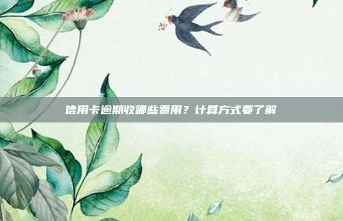 信用卡逾期收哪些费用?计算方式要了解