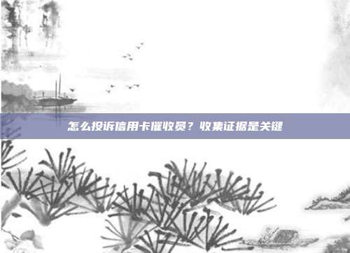 怎么投诉信用卡催收员?收集证据是关键