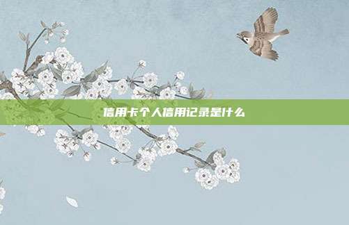 信用卡个人信用记录是什么