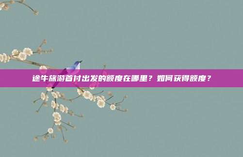 途牛旅游首付出发的额度在哪里？如何获得额度？