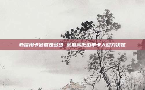 新信用卡额度是多少 额度高低由申卡人财力决定
